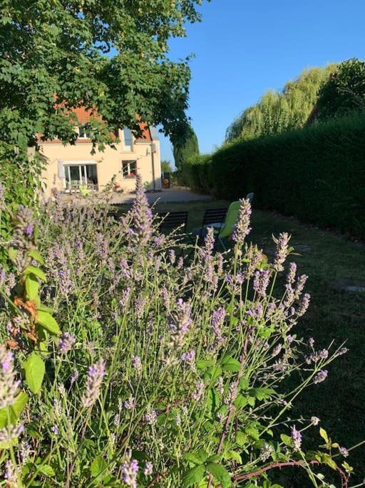 Maison Village, 10 Pers, Proche De La Plage Audinghen Exterior foto